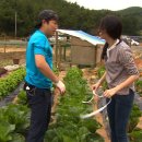 즐거운 家 Daum카페