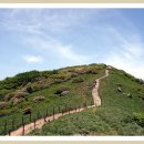 (주)삼정주유소 이미지