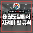 다원태권도장 이미지