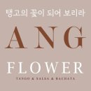 ⚘4월 사당/탱고플라워 아르헨티나 탱고 입문반 레슨 안내 드려요~ 이미지