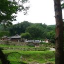 천하명당 네이버블로그