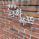 행정06 | 대구 대봉동 김광석 거리 능소화 폭포 2025/06/27 방문후기
