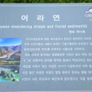 해찬솔 이미지