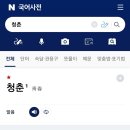 하이청과 네이버블로그