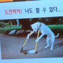 시니어 교육 지도자 네이버블로그