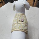 문화애견 이미지