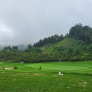 베뉴지CC 이미지