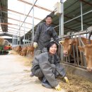 화진농장 이미지