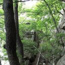 김득곤 | [울산 광역] 망해사지-문수사-청송사지 길 따라~