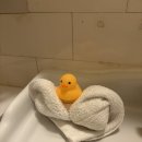 짐타운 | LA 한인타운 숙소 추천 | 호텔 노르망디 후기 | 짐 보관 장소 추천