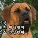 같이