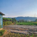 모월보건진료소 이미지