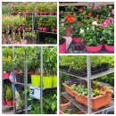 경상북도청 동문방면(테니스장) | [서울] 서울국제정원박람회 / 기간과 일정, 주요프로그램, 전시구역, 교통과 주차, 방문후기 등