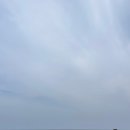 신신상회 이미지