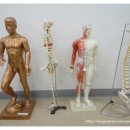 진부부한의원 이미지