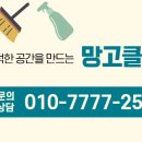 망고클린서비스