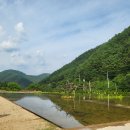 루오스테이 수월 이미지