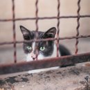 영덕사랑동물병원 이미지