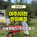 추억의 술빵 만들기(A반) | 여주 이천 가볼만한곳 은아목장, 목장체험 피자만들기 등 놀거리 많은 곳