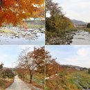 용담천 이미지