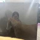 오리정운동장화장실 | 나에게 꼭 맞는 [집]을 찾아서