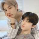 카페메이트 - 춘천시 사우로 161 | 카페메이트