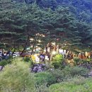 엄둔 솔밭 빌리지 이미지