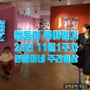 (주)율선 행복드림셀프주유소 | [쌍둥이 육아일기] 11월 첫째주 린둥이네 주간일기