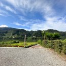 리버스케치 이미지