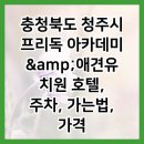 프리독 아카데미 네이버블로그