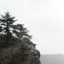 야호 이미지