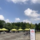 플리마코협동조합 | 고양 보넷길마켓 밤리단길 가을 행사 위치 주차 일정 소개