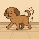 송도외과의원 | 강북 송도 외과 의원 치열 수술 지옥으로 초대