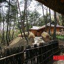 화전민촌 이미지