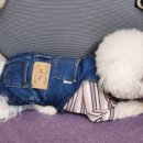 열두달 네일 이미지