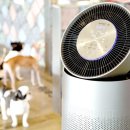 가나동물병원 이미지