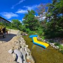 강릉펜션 이미지