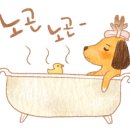 미즘아쿠아랜드 이미지