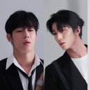 다원 이미지