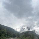 포메리카노 이미지