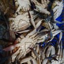 둘레길 펜션 이미지