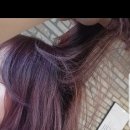 하노헤어
