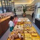 MBC경남진주 이미지