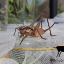 혁이목장 이미지