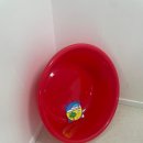 SK넥실리스 노동조합 | 대용량 플라스틱 다라이 김장대야로 손색 없는 나의코리아