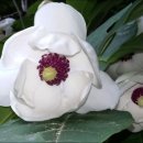 하늘가축병원 이미지