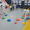 용인대 타이곤 태권도장 이미지