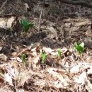 경임농장 이미지