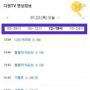 디원(Done) 티스토리