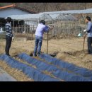 장현농장 이미지